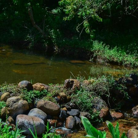 Ohiya Forest Lodge Ngoại thất bức ảnh