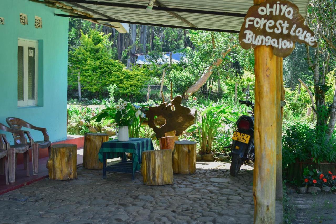 Ohiya Forest Lodge Ngoại thất bức ảnh
