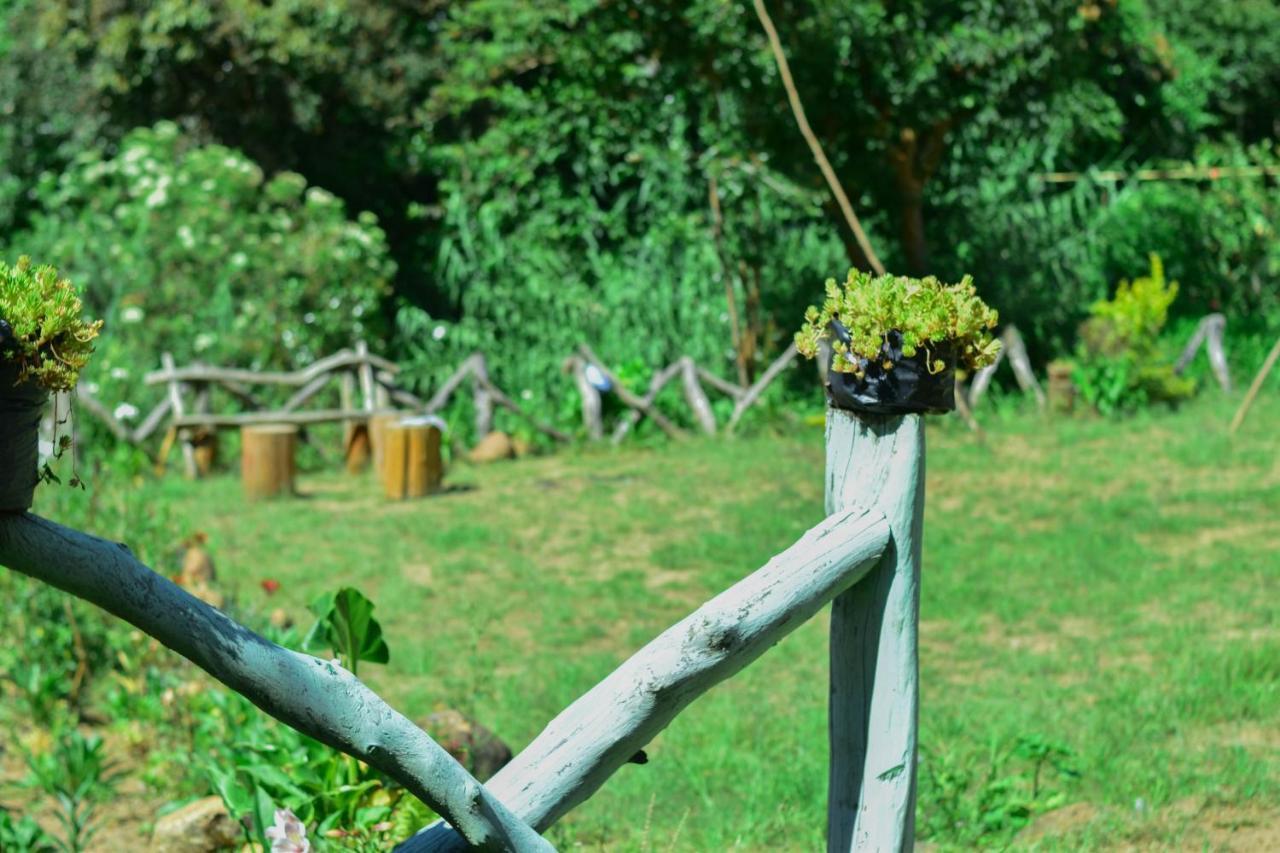 Ohiya Forest Lodge Ngoại thất bức ảnh