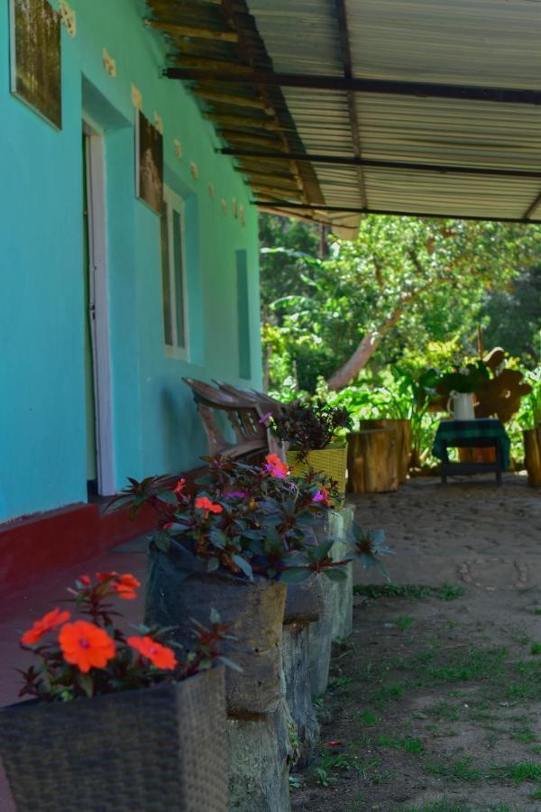 Ohiya Forest Lodge Ngoại thất bức ảnh