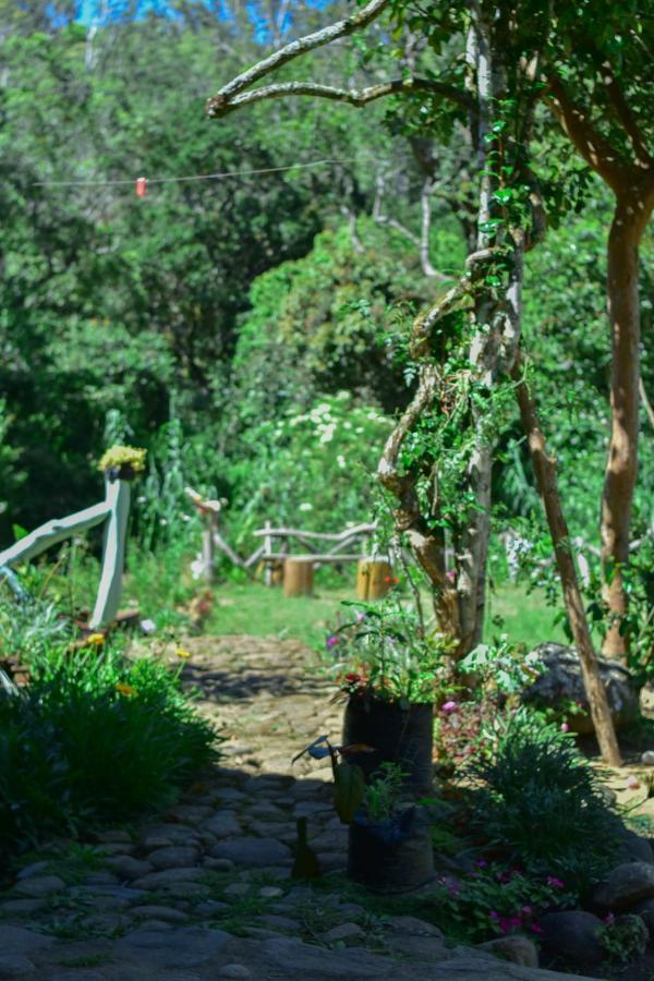 Ohiya Forest Lodge Ngoại thất bức ảnh