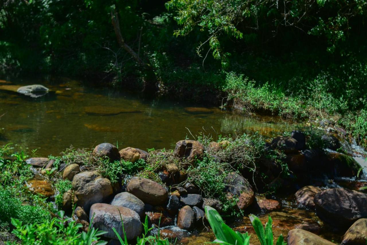 Ohiya Forest Lodge Ngoại thất bức ảnh