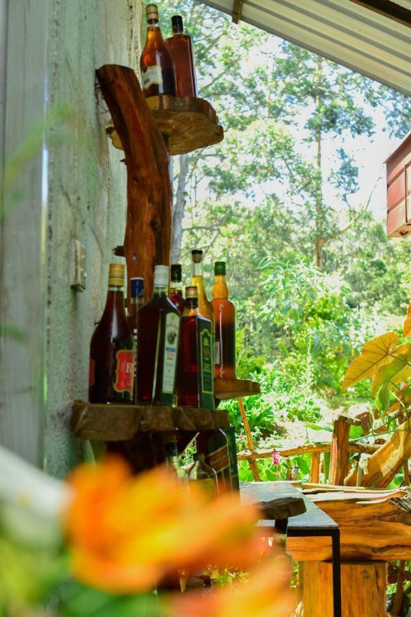 Ohiya Forest Lodge Ngoại thất bức ảnh